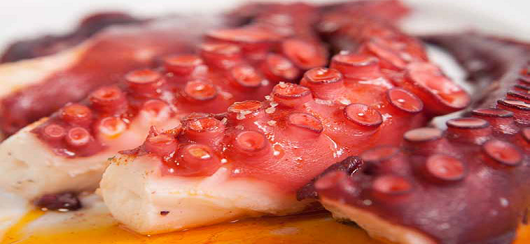 comprar pulpo